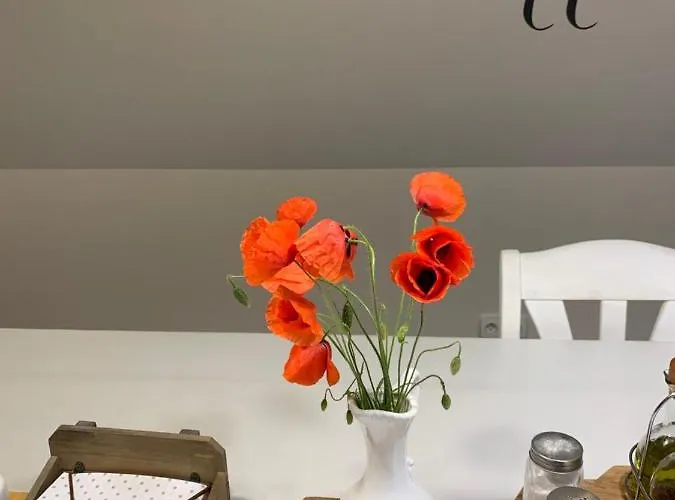 住宿加早餐酒店 Country House 3*